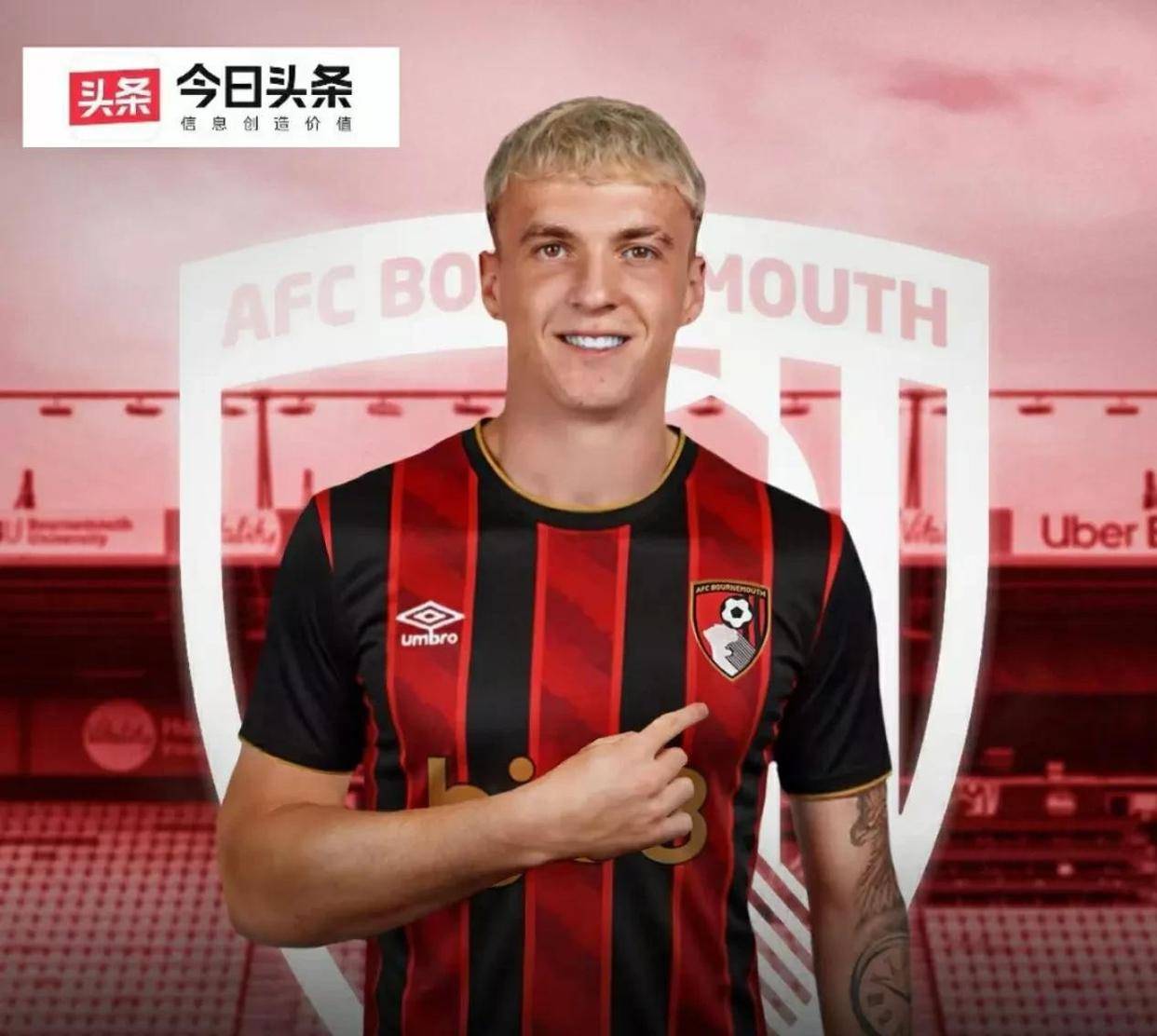  倦鸟已归时是什么歌歌词 